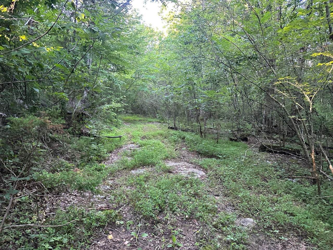 8.77 Stagecoach Road - Photo 1