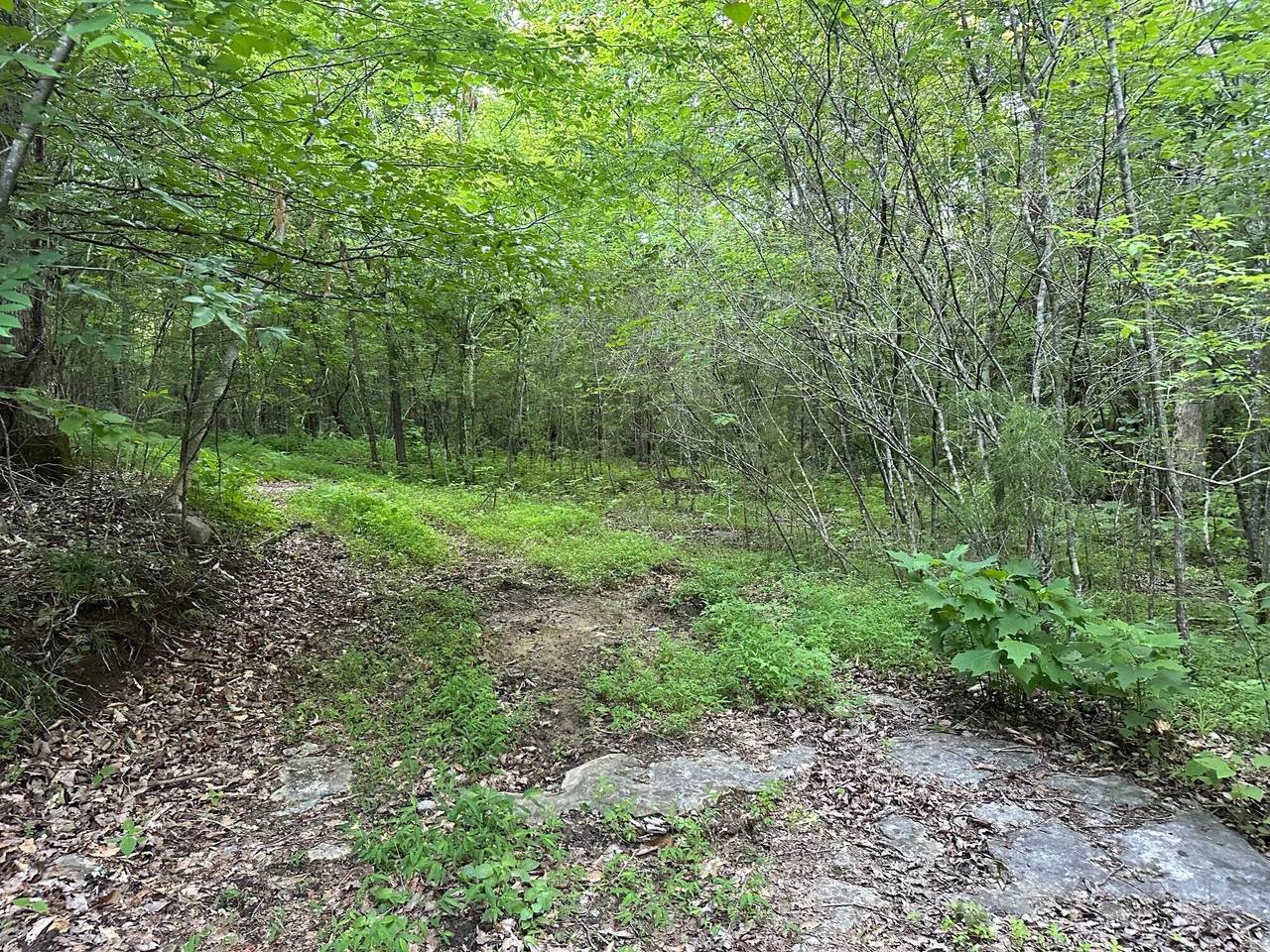 https://bt-photos.global.ssl.fastly.net/chattanooga/1280_boomver_1_1393822-2.jpg