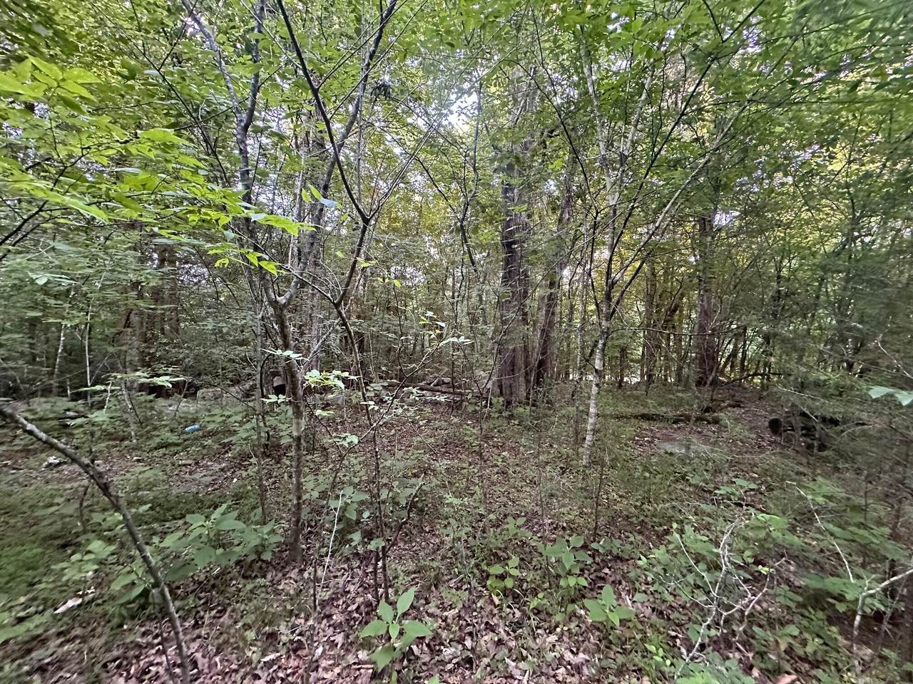 https://bt-photos.global.ssl.fastly.net/chattanooga/1280_boomver_1_1393822-2.jpg