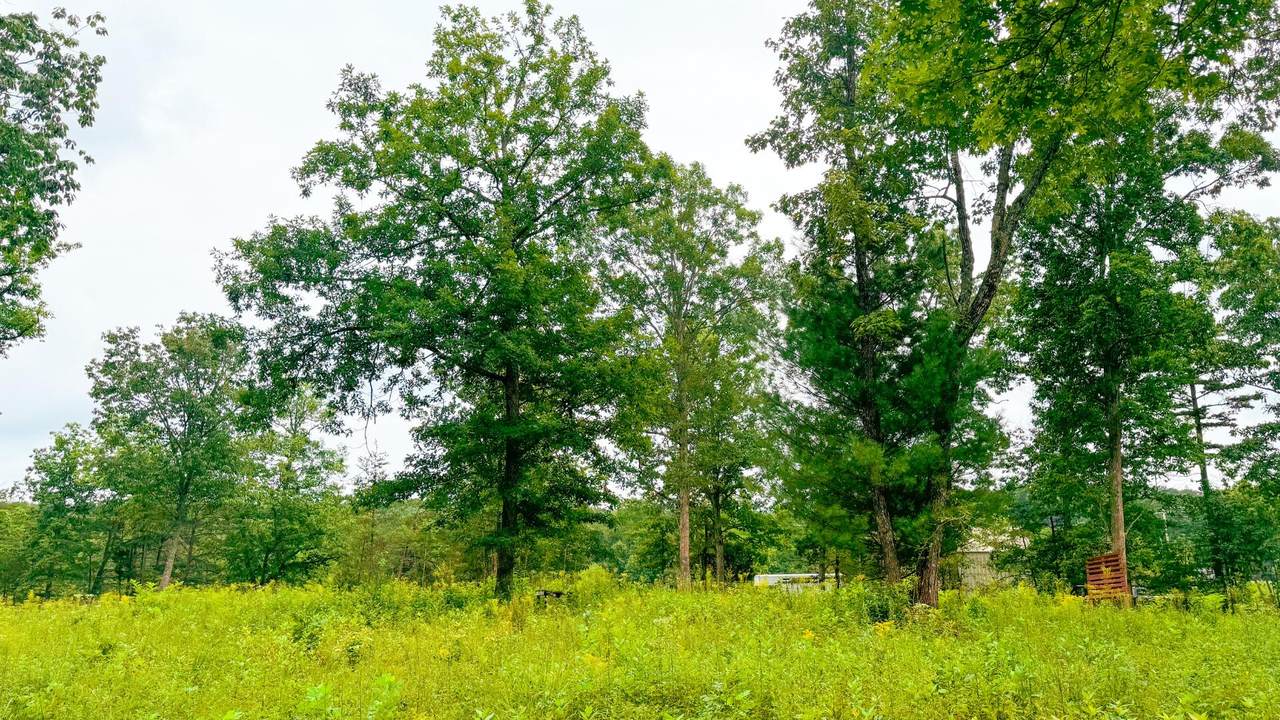https://bt-photos.global.ssl.fastly.net/chattanooga/orig_boomver_1_1396710-2.jpg