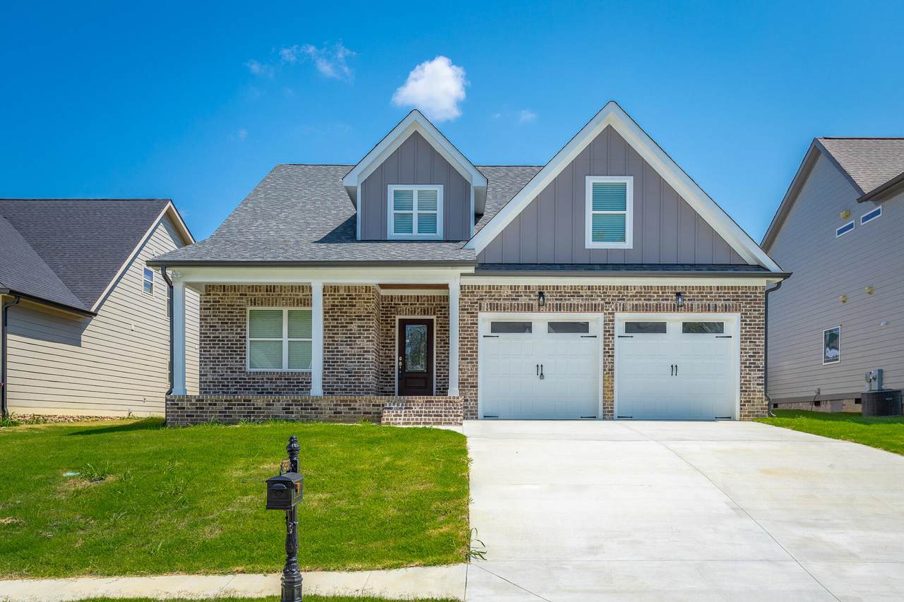 8967 Silver Maple Drive - Photo 1