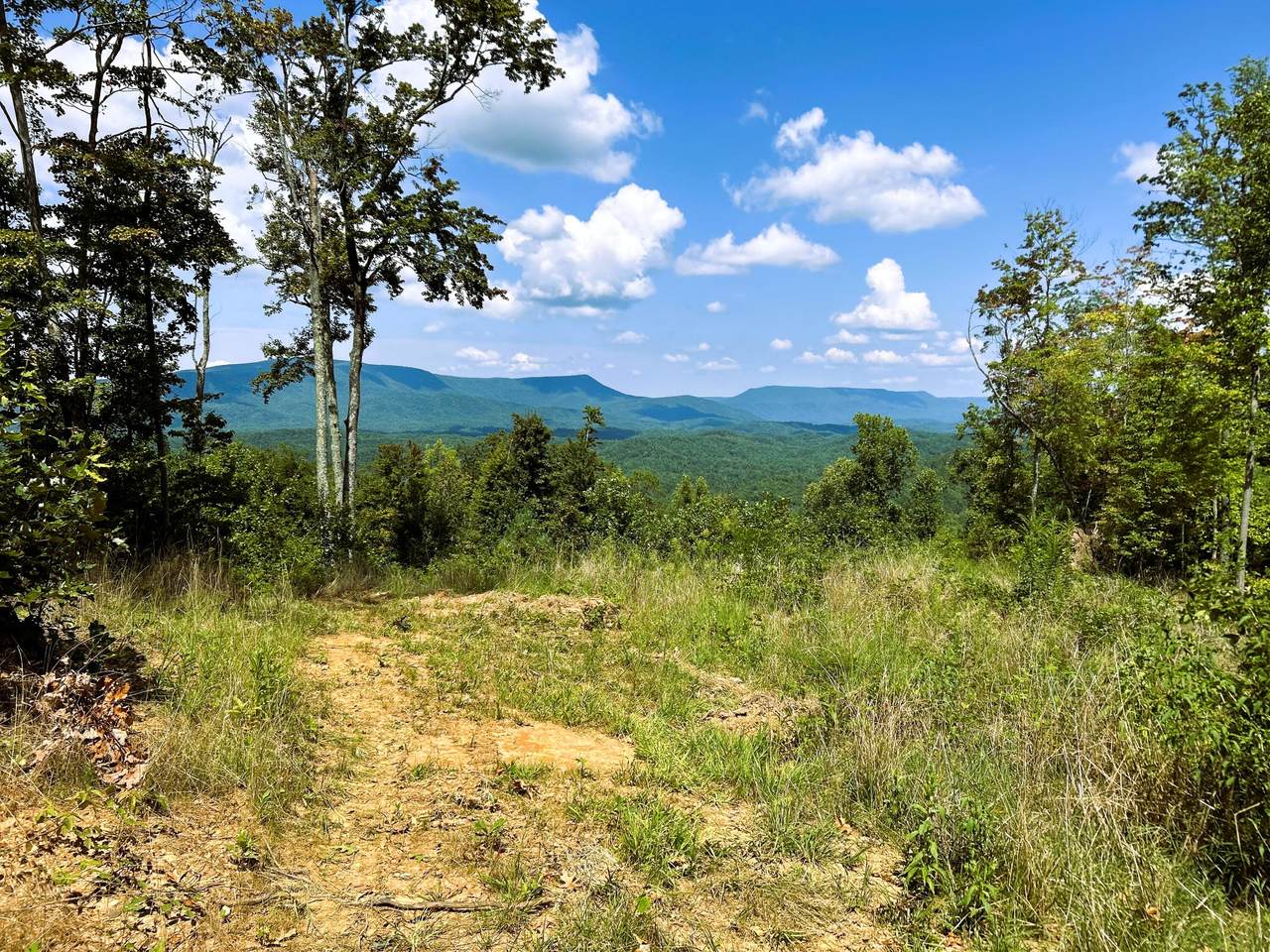 31.54 Acre Chestnut Mountain Road - Photo 1