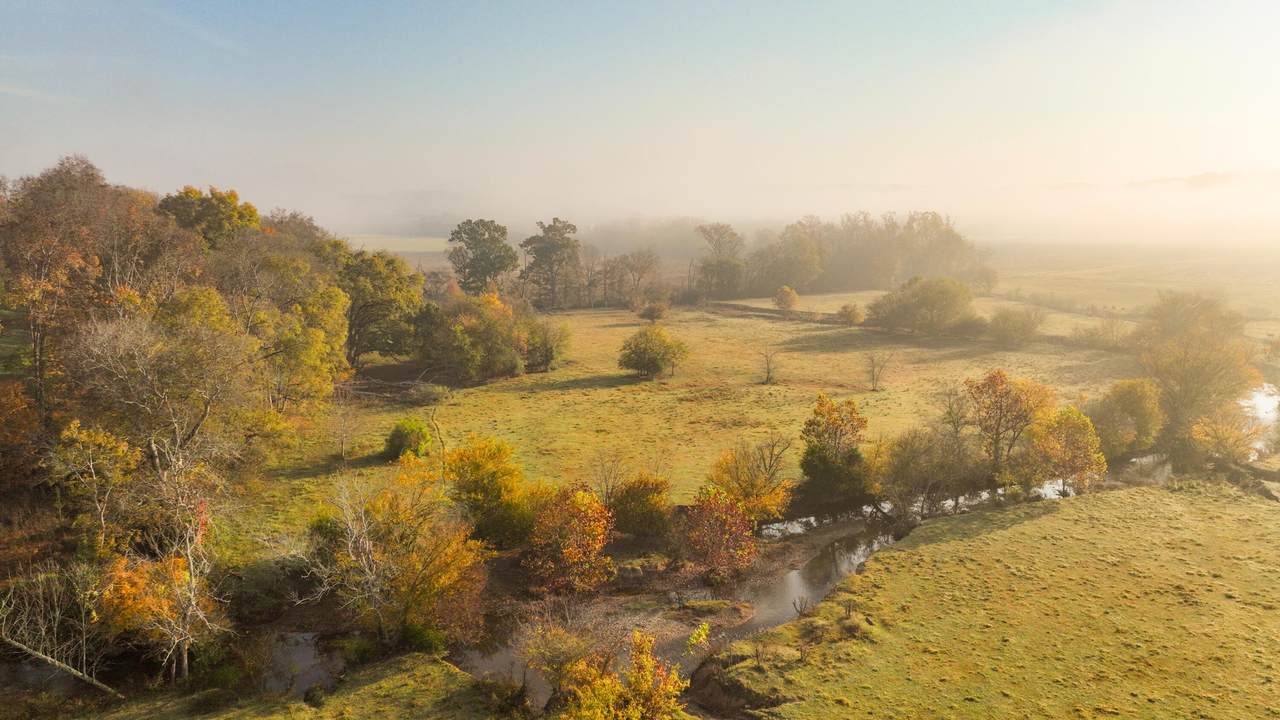 938 Lauderdale Memorial Highway - Photo 1