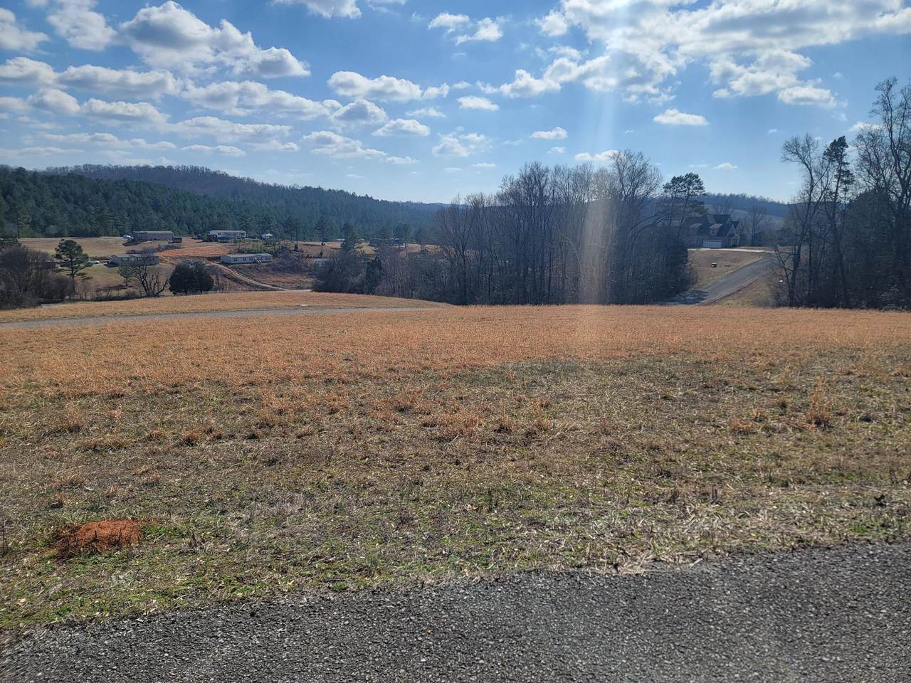Lot 38 Goodfield Terrance - Photo 1