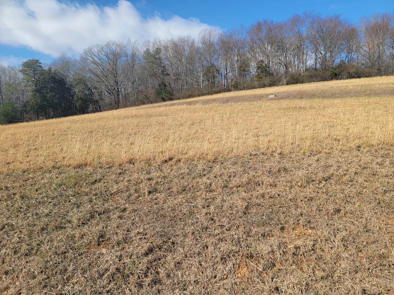 https://bt-photos.global.ssl.fastly.net/chattanooga/1280_boomver_1_1507020-2.jpg