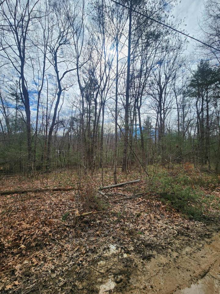 https://bt-photos.global.ssl.fastly.net/chattanooga/1280_boomver_2_1507483-2.jpg