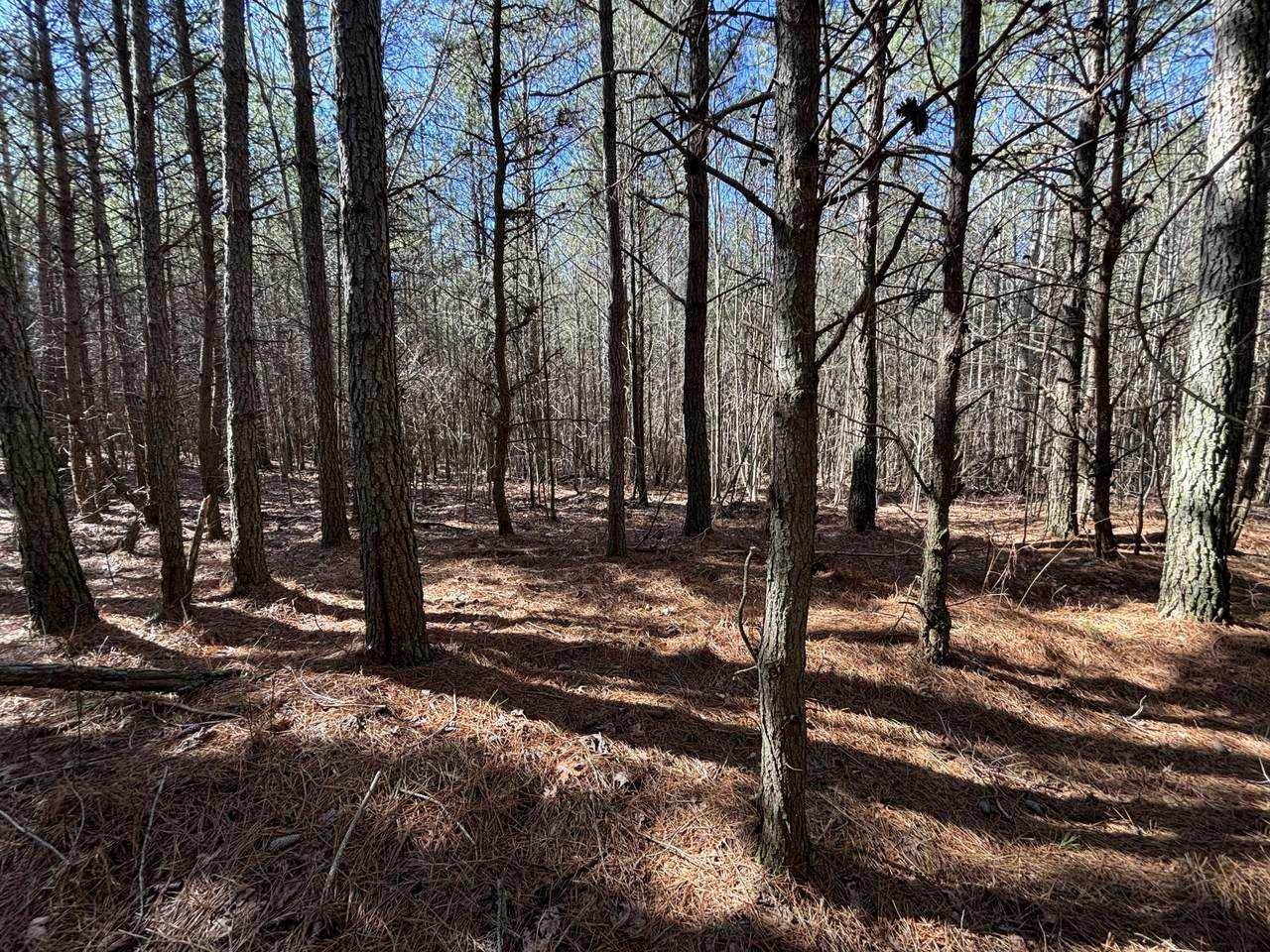 8 Fredonia Road - Photo 1