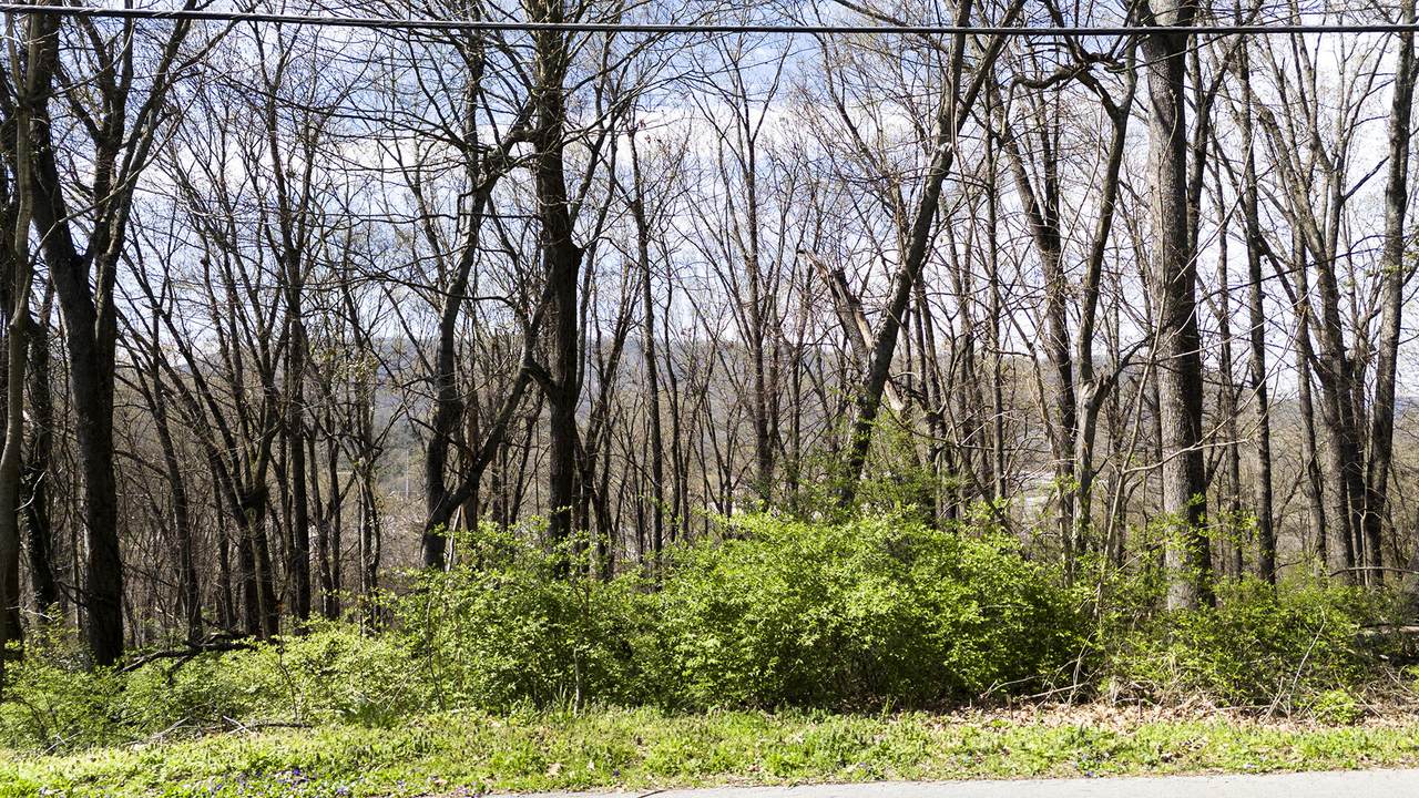 269 Whitehall Road - Photo 1