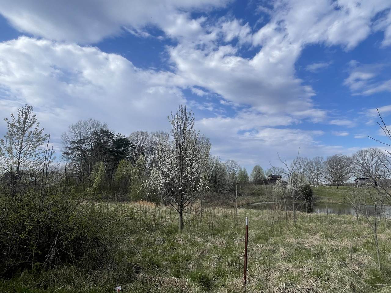 https://bt-photos.global.ssl.fastly.net/chattanooga/1280_boomver_2_1509803-2.jpg