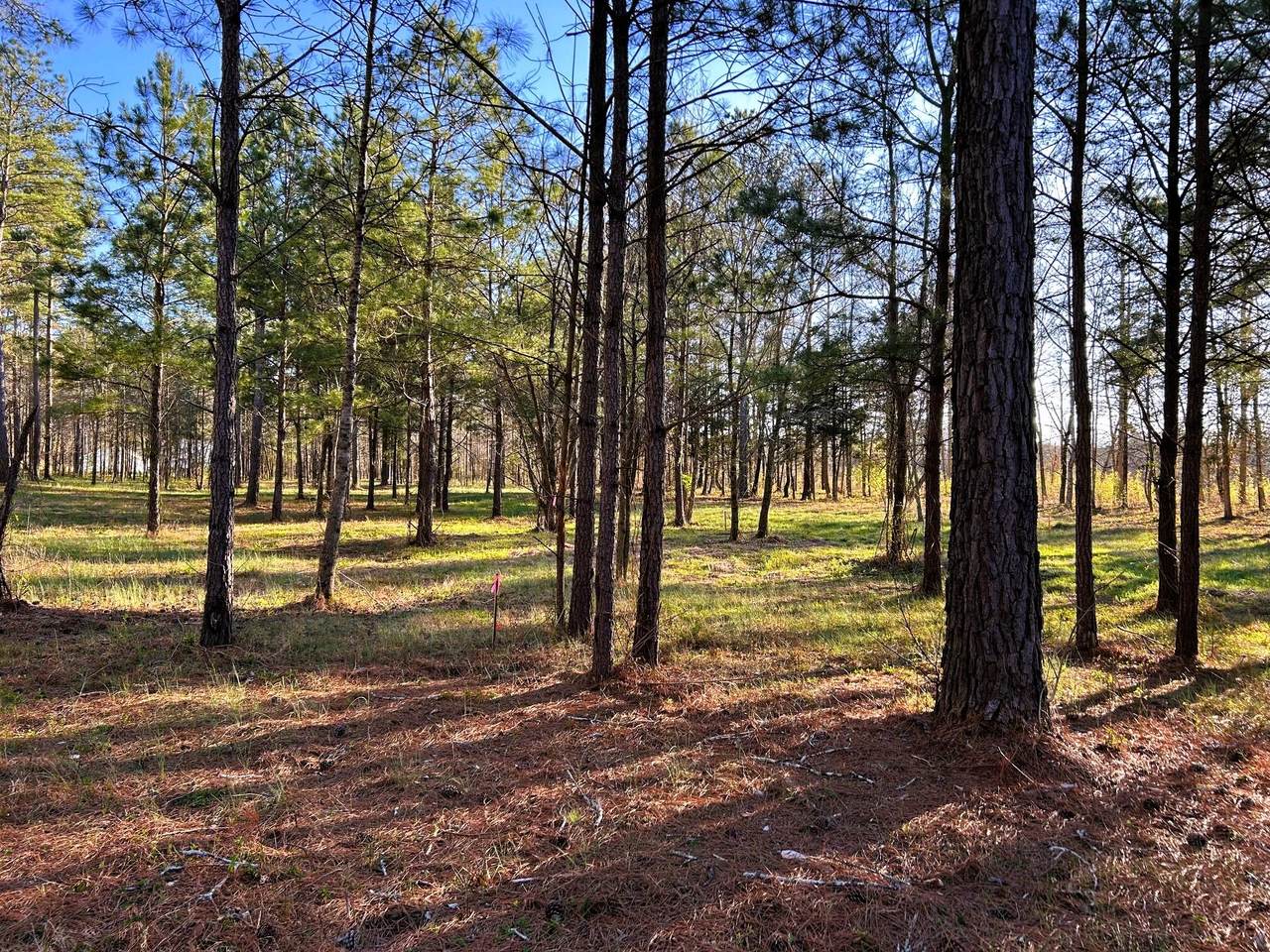 Lot 4 County Road 950 - Photo 1
