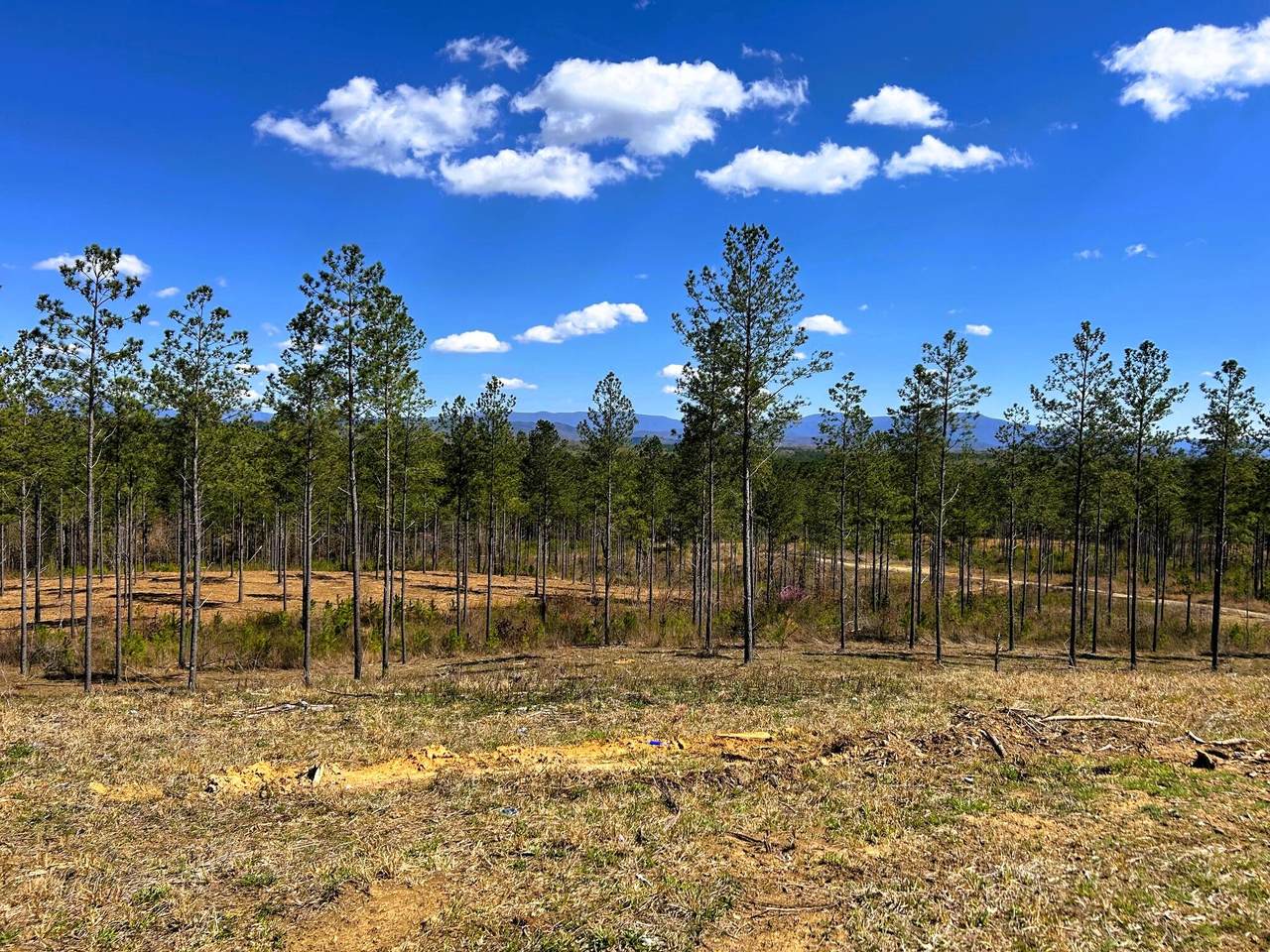 Tract 26a Hughes Lake Road Se - Photo 1