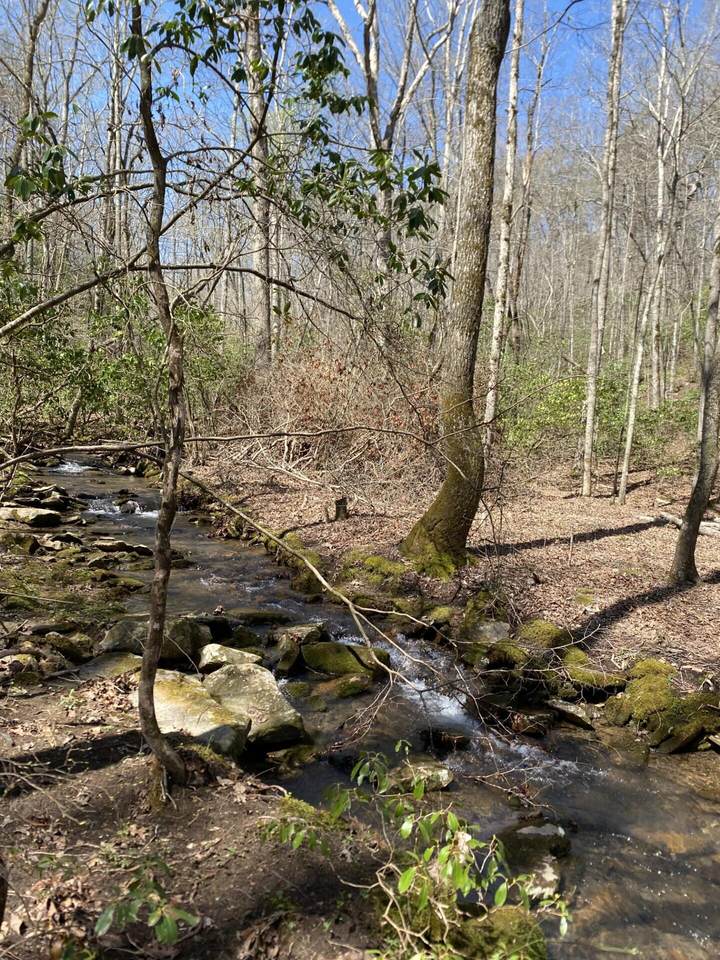 377 Sinclair Lane - Photo 1