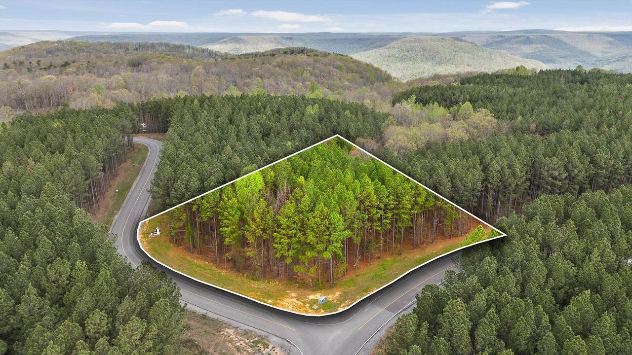 0 Moonlight Lane - Photo 1