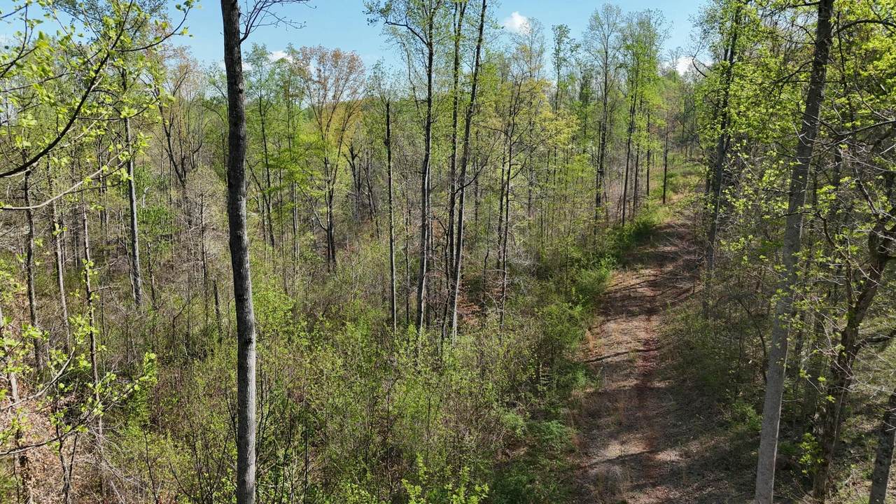000 County Road 675-263-265 - Photo 1