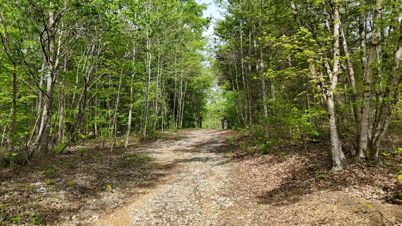 311 Old York Road - Photo 1