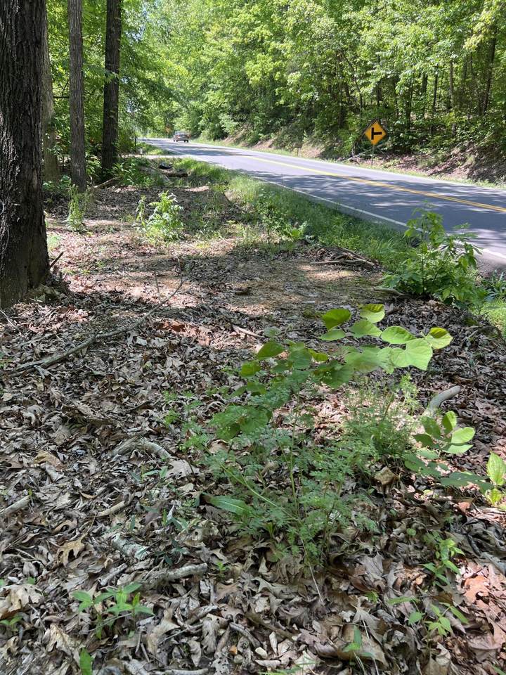 0 Hwy 163 - Photo 1