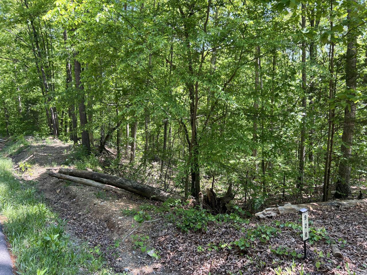 https://bt-photos.global.ssl.fastly.net/chattanooga/1280_boomver_1_1512095-2.jpg