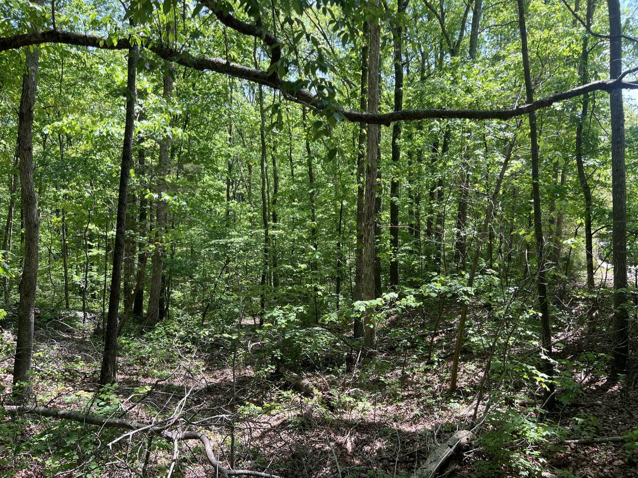https://bt-photos.global.ssl.fastly.net/chattanooga/1280_boomver_1_1512095-2.jpg