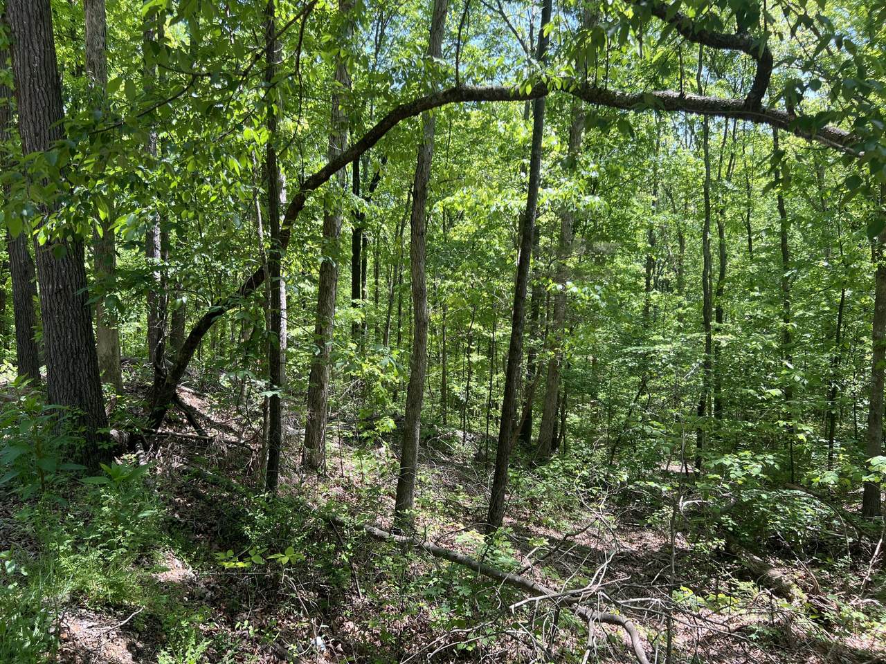 https://bt-photos.global.ssl.fastly.net/chattanooga/1280_boomver_1_1512095-2.jpg