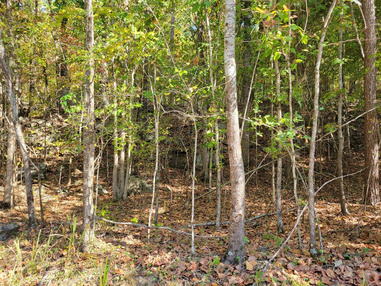 13-13 Raulstontown Road - Photo 1