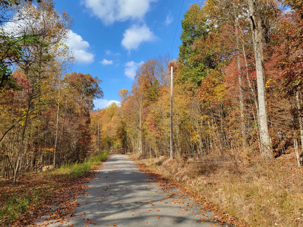 10-10 Raulstontown Road - Photo 1