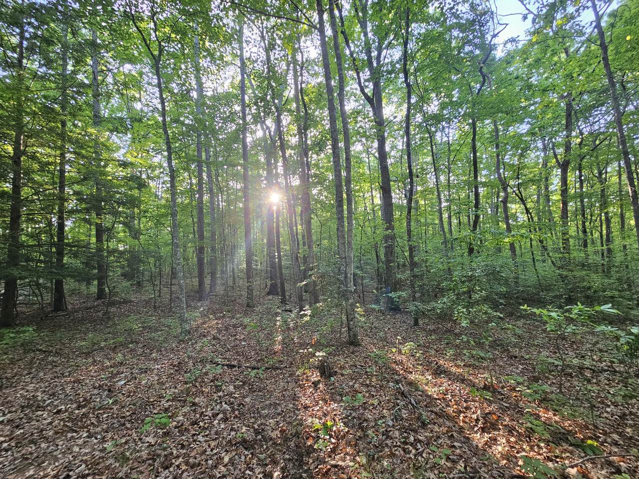 3-Sw1e Woodfern Lane - Photo 1