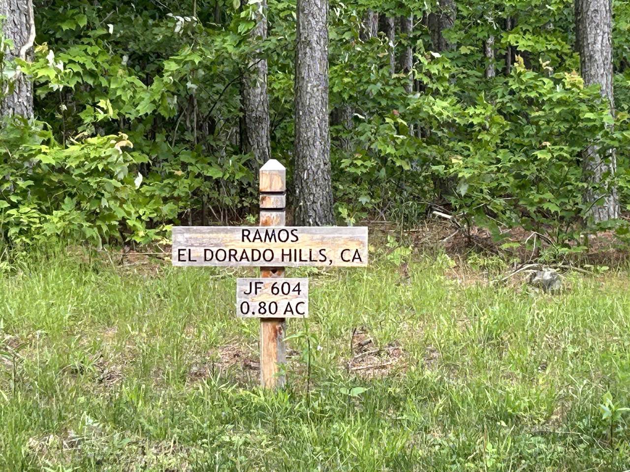 1771-Jf-604 Crockett Point - Photo 1