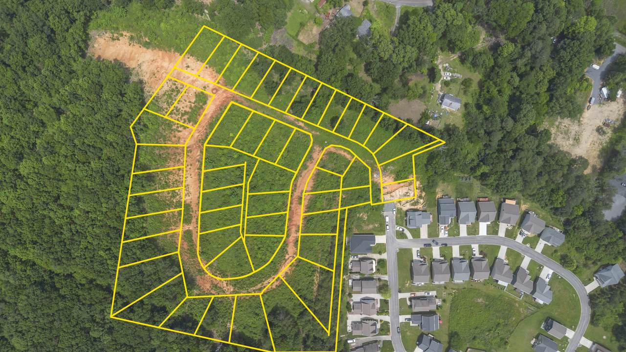 0 Courtland Crest Drive - Photo 1