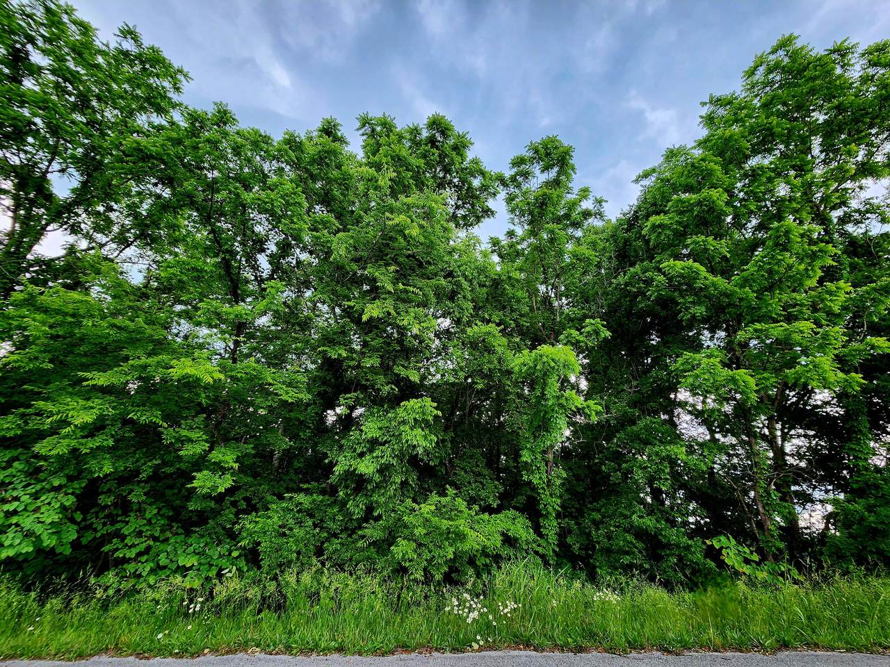 0-53 Ashley Lane - Photo 1