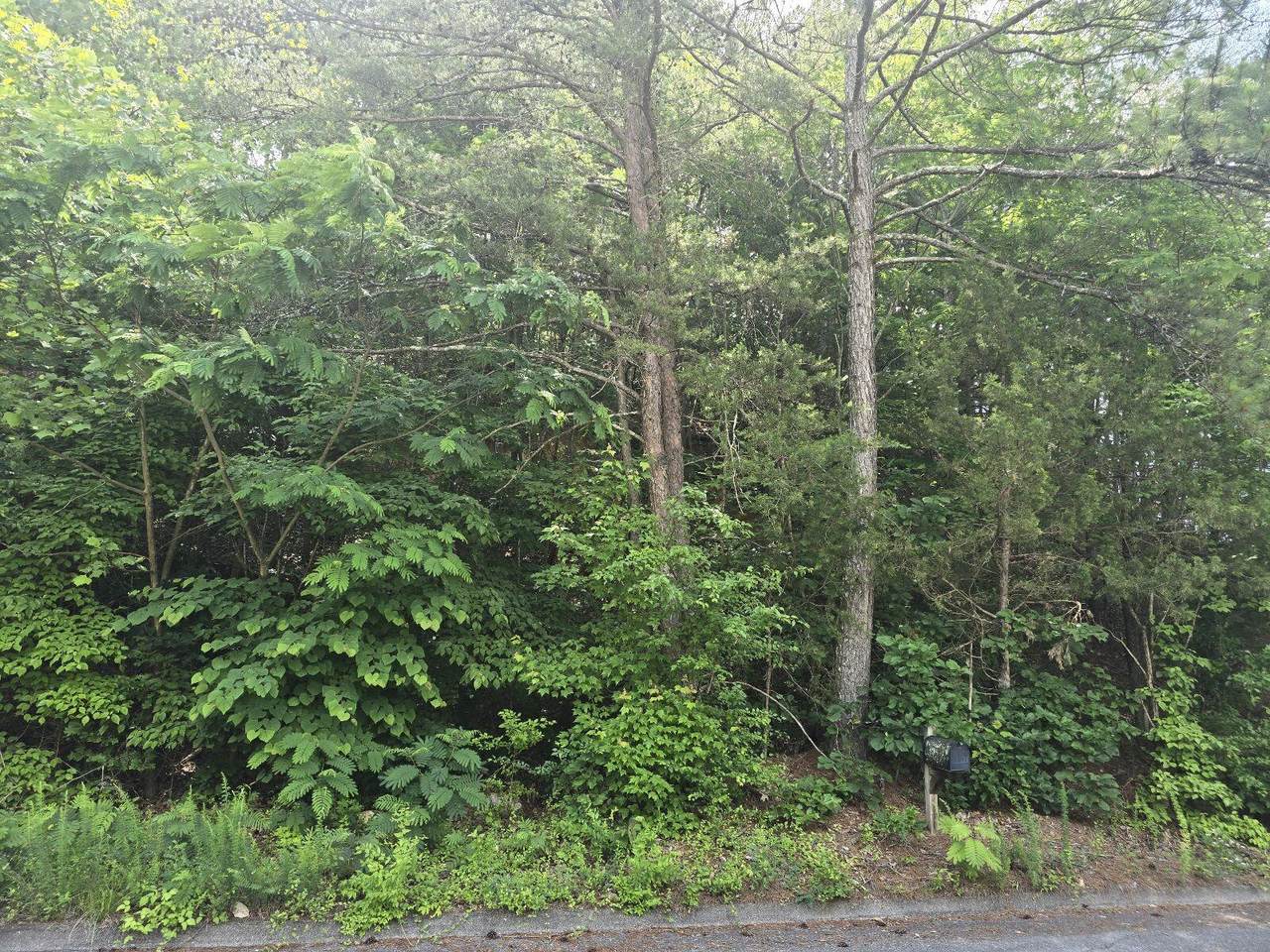 3302-Lot 41 Ridgeway Drive - Photo 1