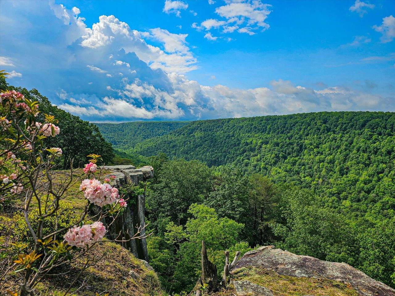 110 Falls Lane - Photo 1