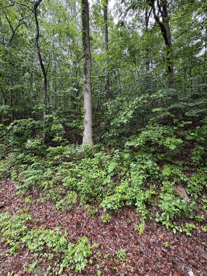 0 Highway 27 - Photo 1