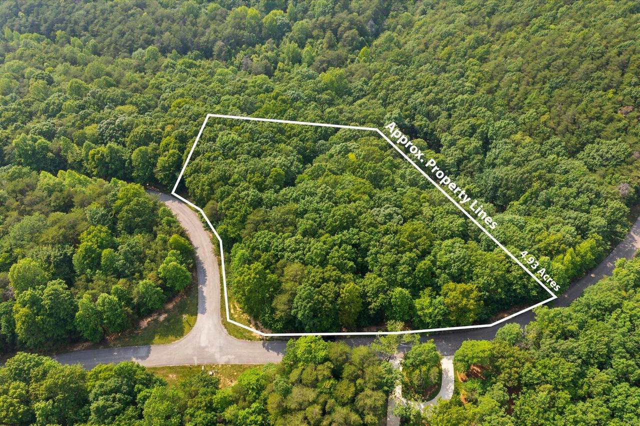 0-Lot 52 Shivas Crest - Photo 1