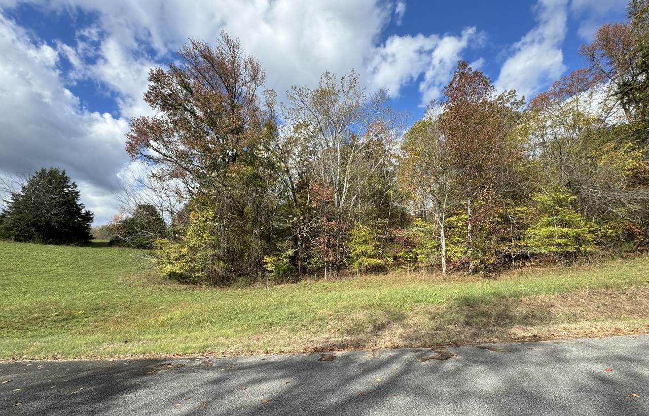 00-Lot 33 Goodfield Terrace - Photo 1