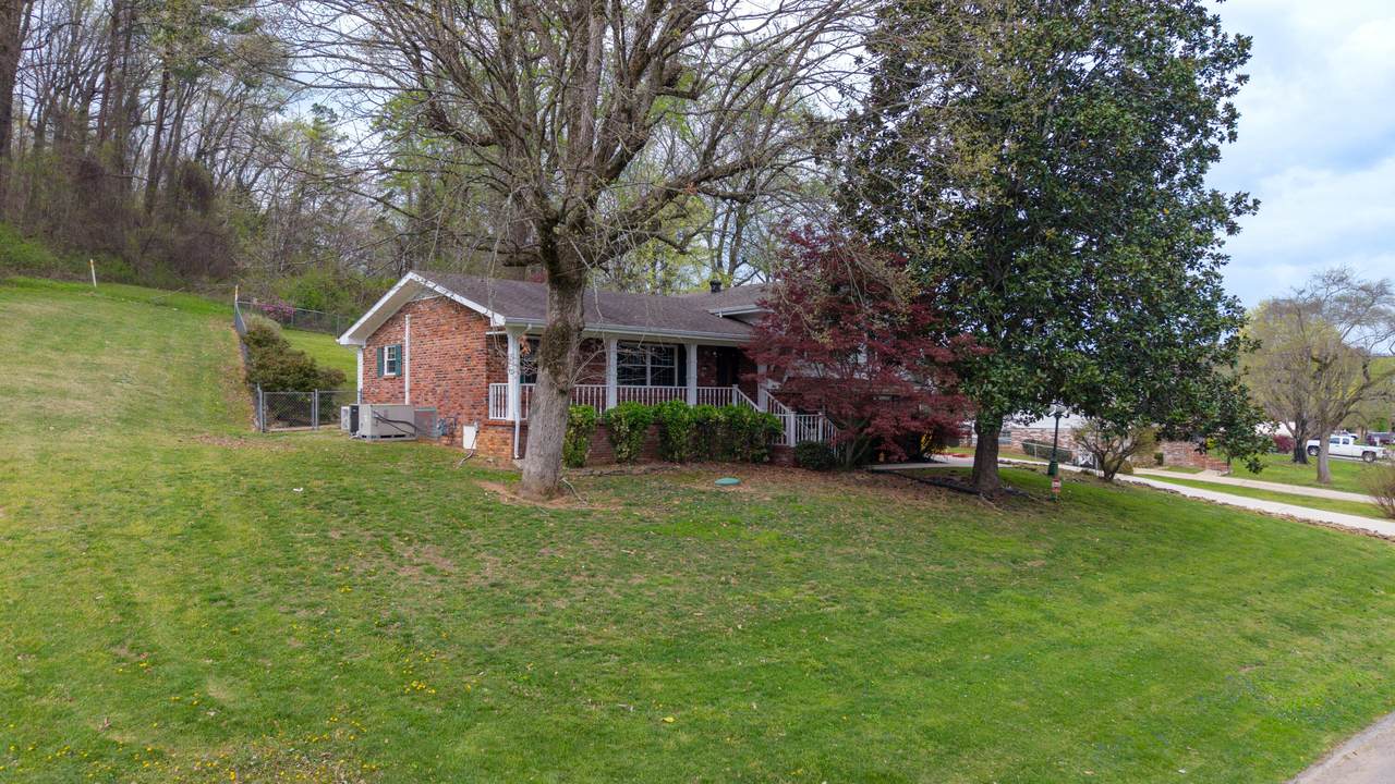 7004 Lystra Road - Photo 1