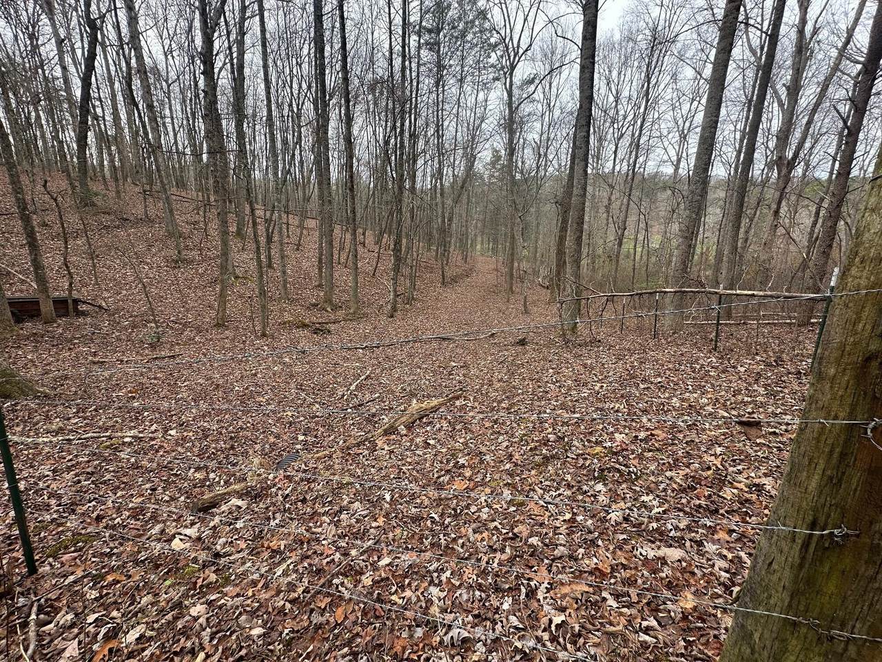 120.62 Browns Hollow Road - Photo 1