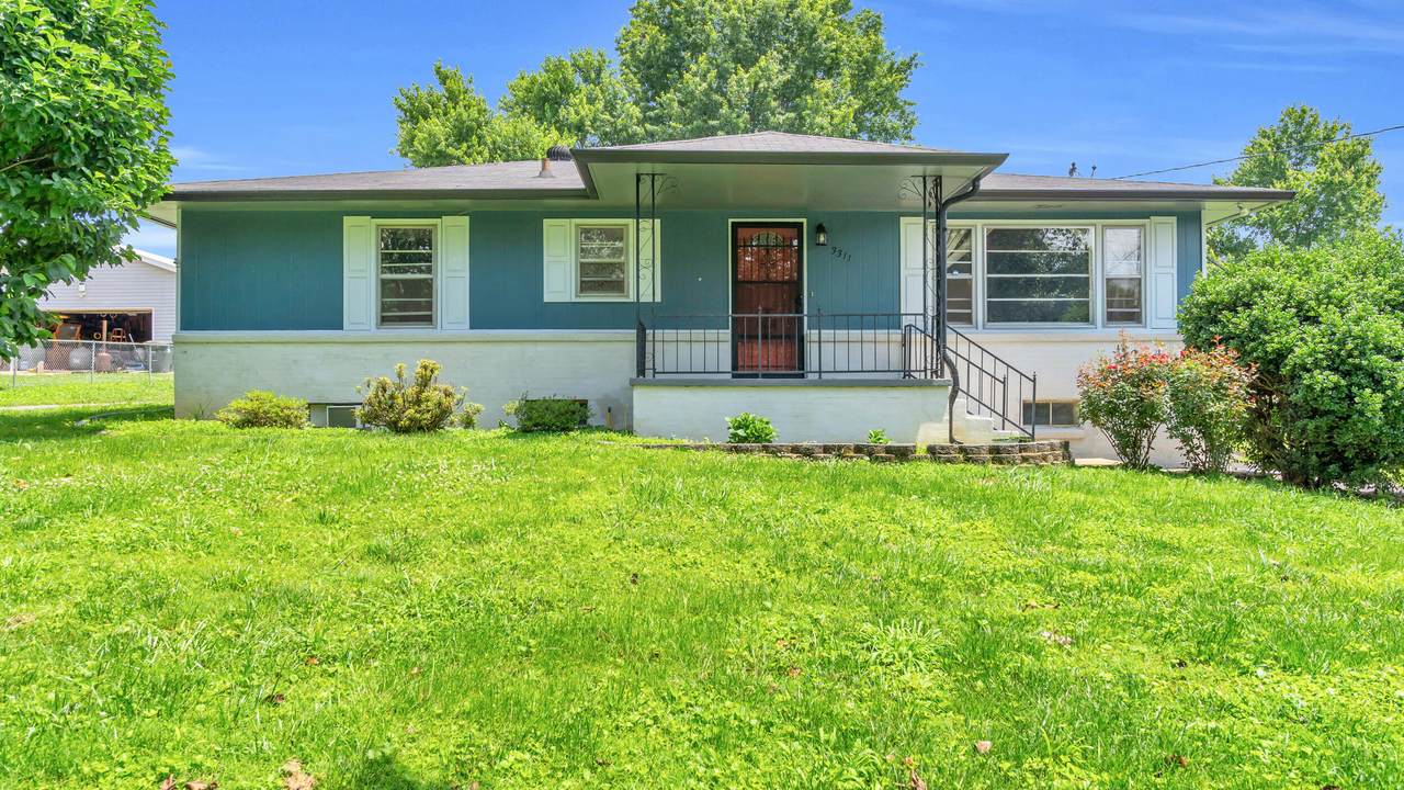 3311 Elder Mountain Road - Photo 1
