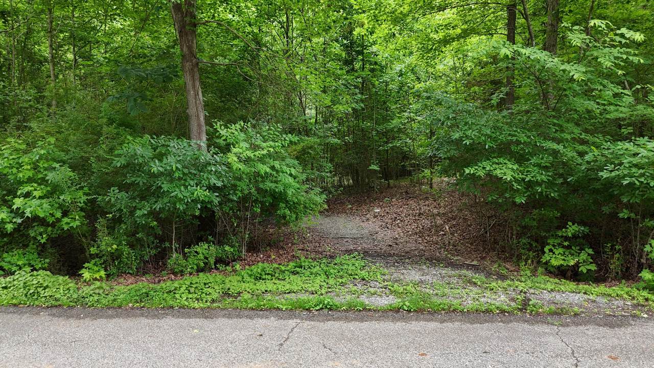 5671 Willow Point Lane - Photo 1