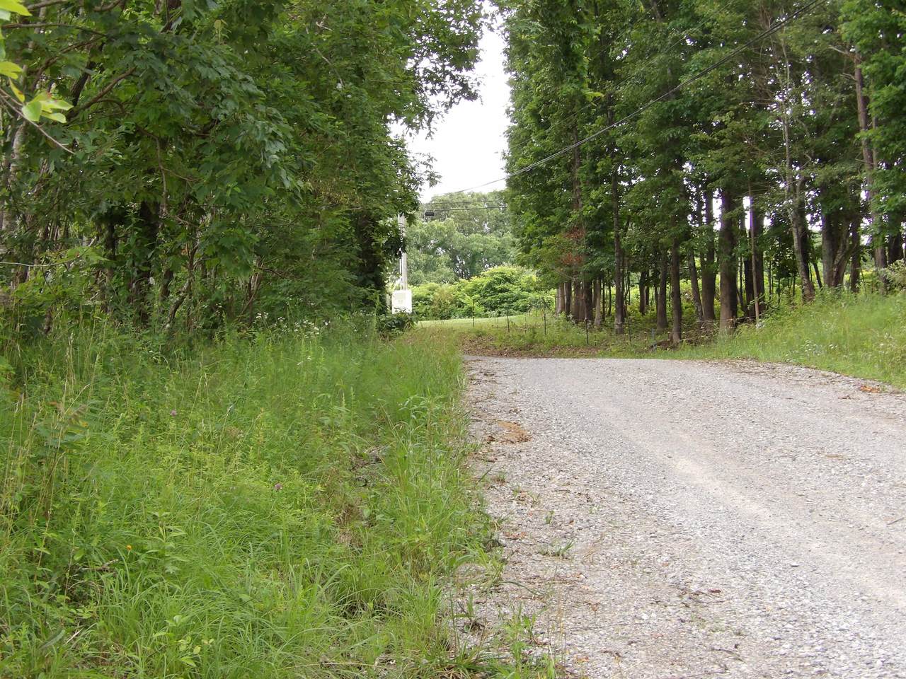 Lot 10 Hughes Cementery Road - Photo 1