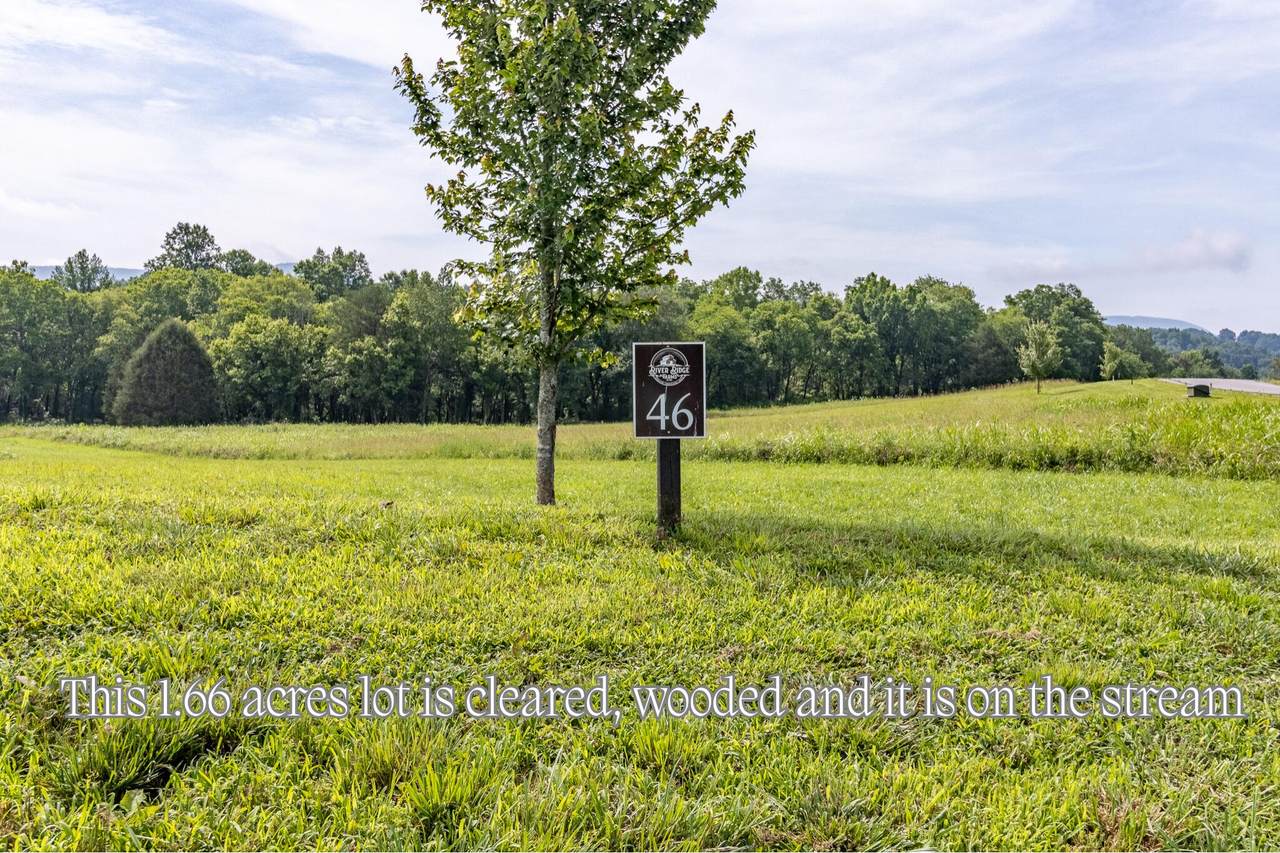 46 Dry Branch Way - Photo 1