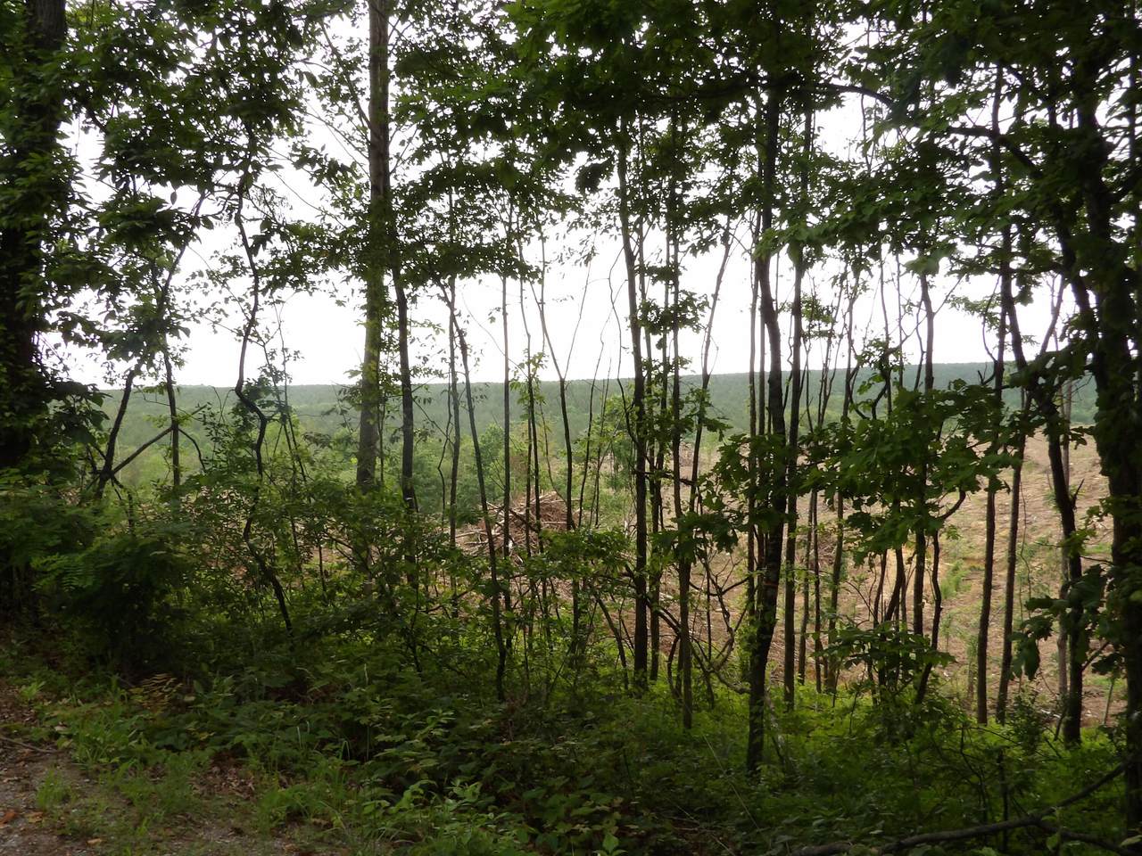 https://bt-photos.global.ssl.fastly.net/chattanooga/1280_boomver_1_1515047-2.jpg