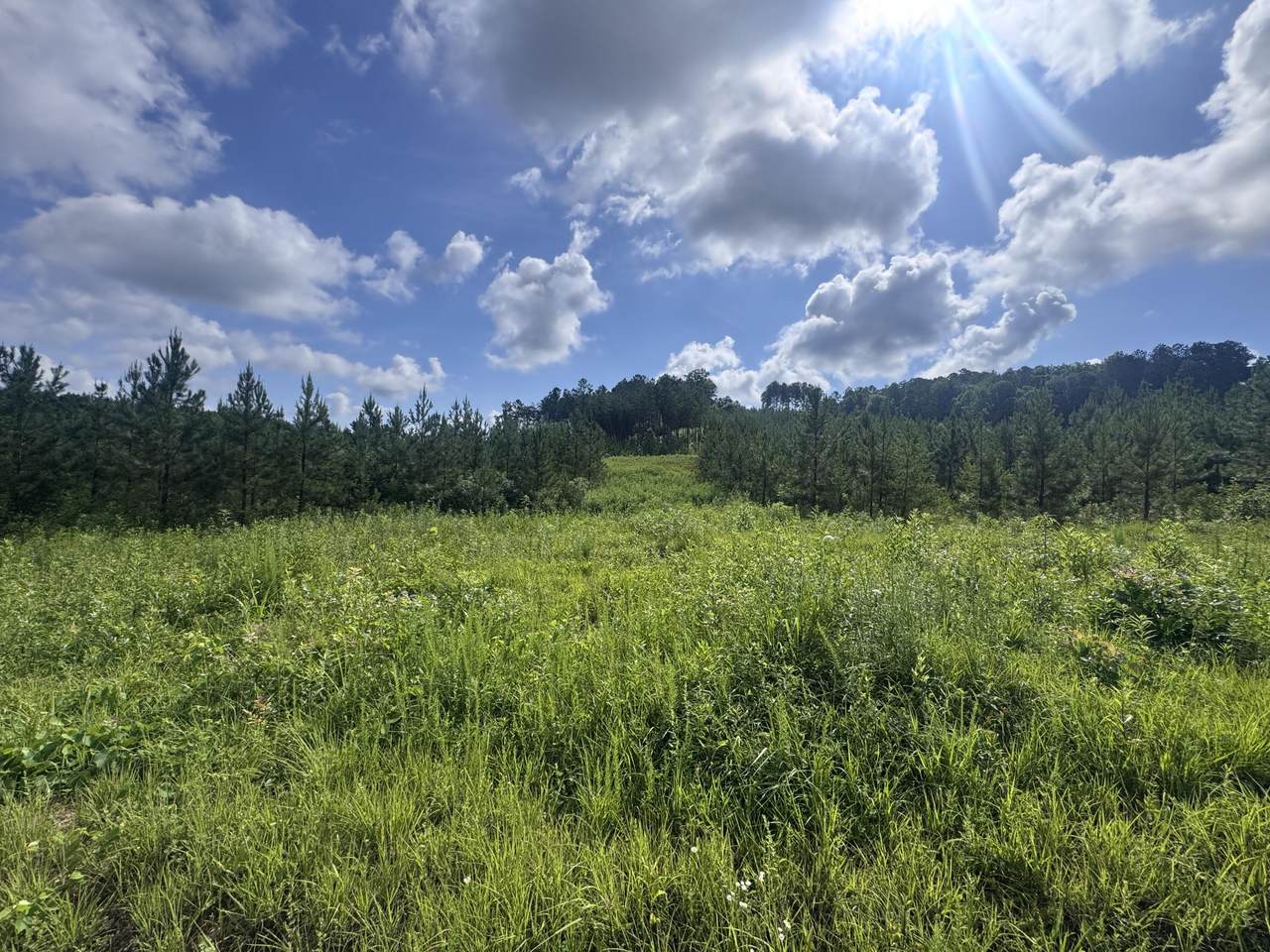 Lot 41 Three Point Road - Photo 1