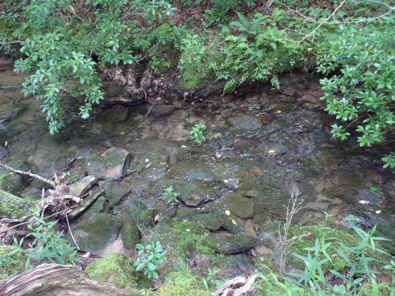 https://bt-photos.global.ssl.fastly.net/chattanooga/1280_boomver_1_1515355-2.jpg