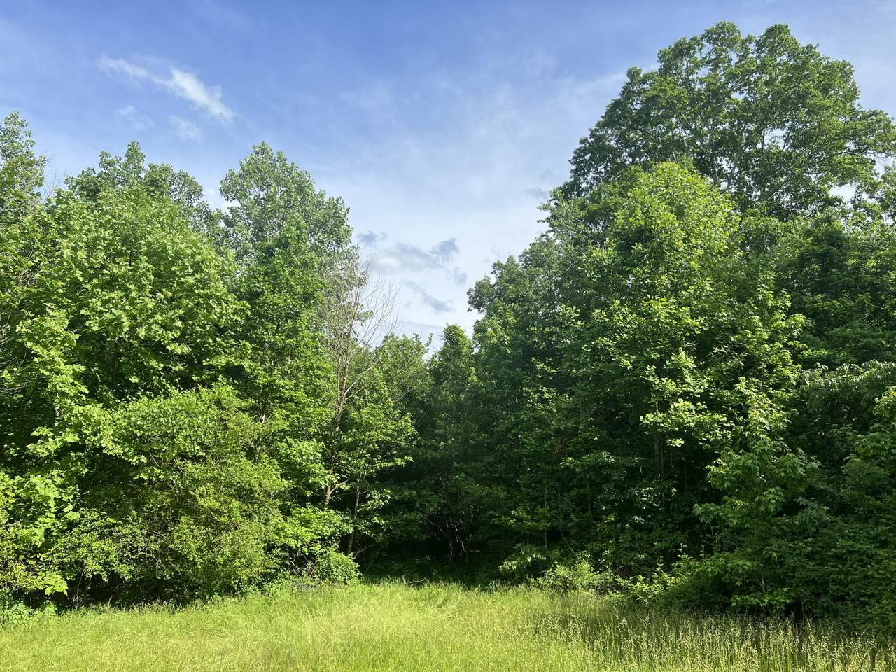 https://bt-photos.global.ssl.fastly.net/chattanooga/1280_boomver_1_1515814-2.jpg
