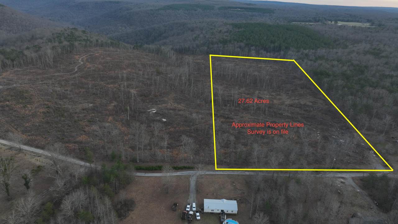3 Lick Point Road - Photo 1