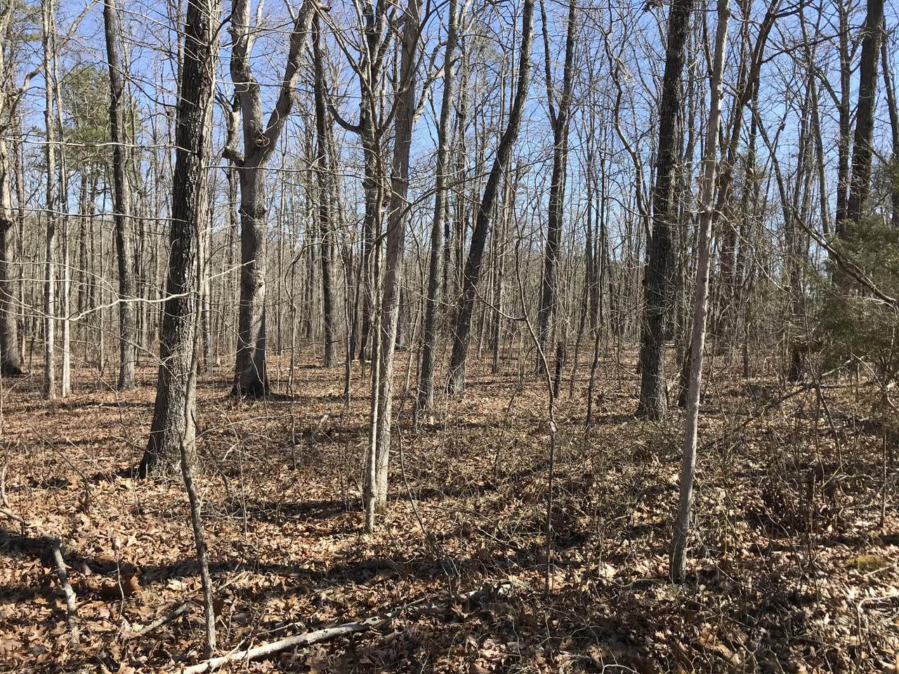 3-3 Deerhead Road - Photo 1