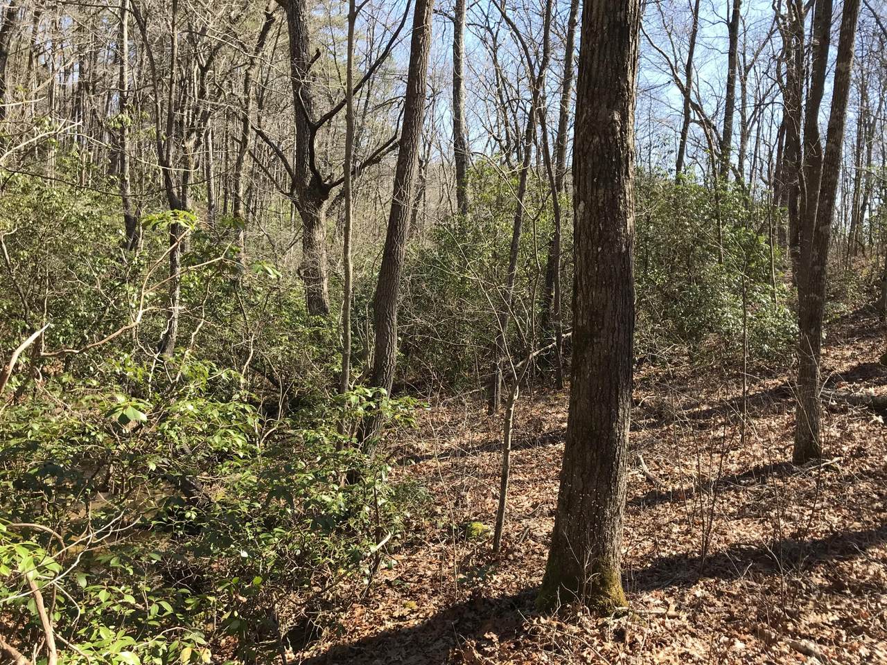 https://bt-photos.global.ssl.fastly.net/chattanooga/1280_boomver_1_1516334-2.jpg
