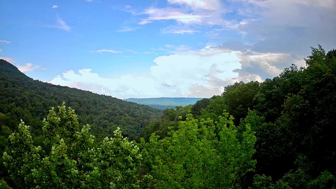 0 Highway 156 - Photo 1