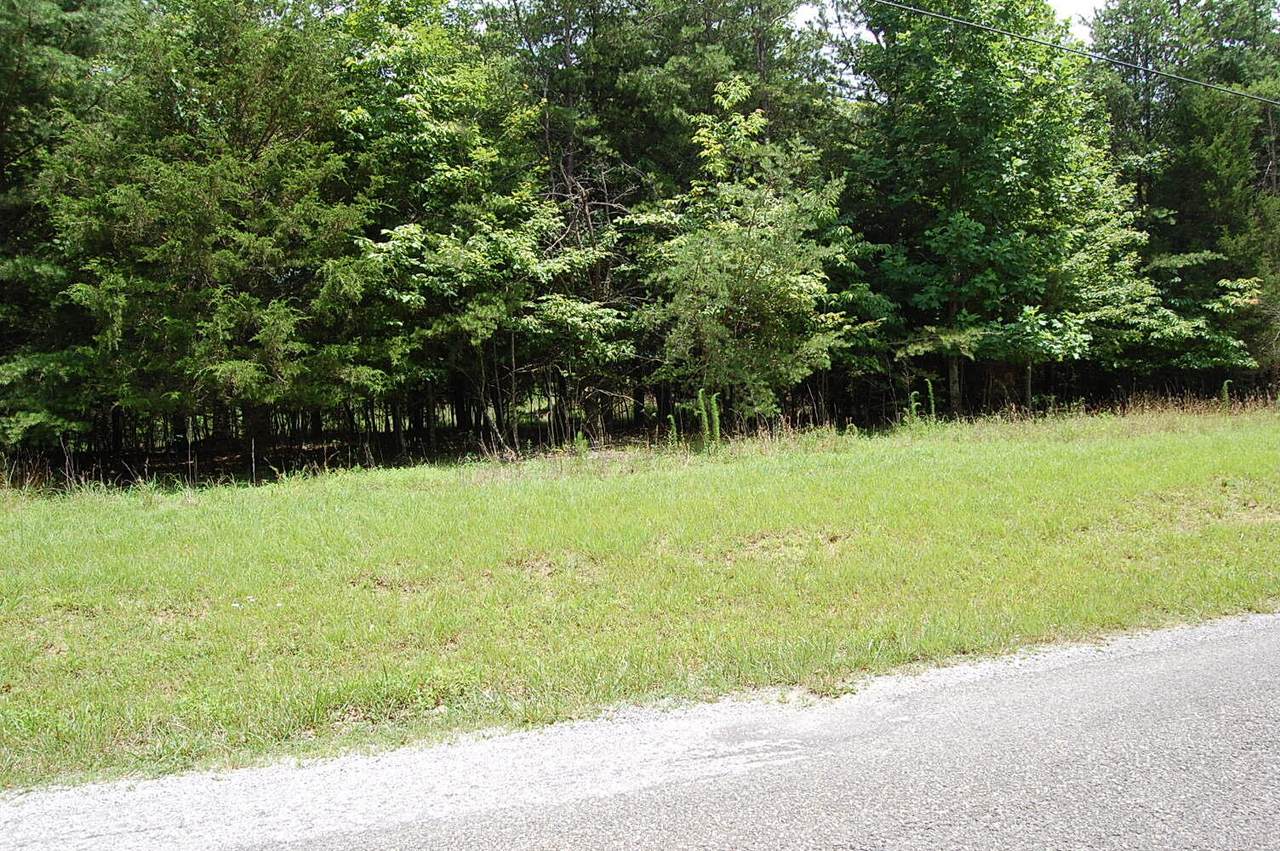 36 Stone Creek Trail - Photo 1