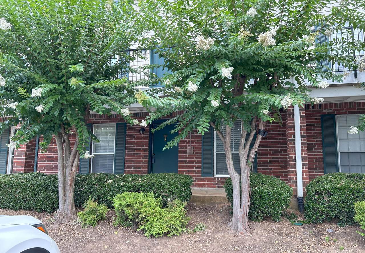900-C38 Mountain Creek Road - Photo 1